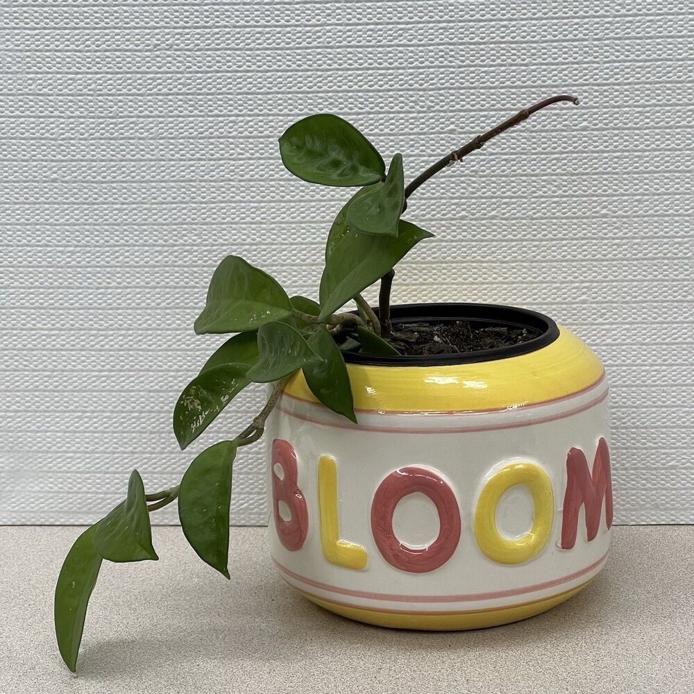 BLOOM Ceramic Planter Flower Pot Raised Lettering Colorful